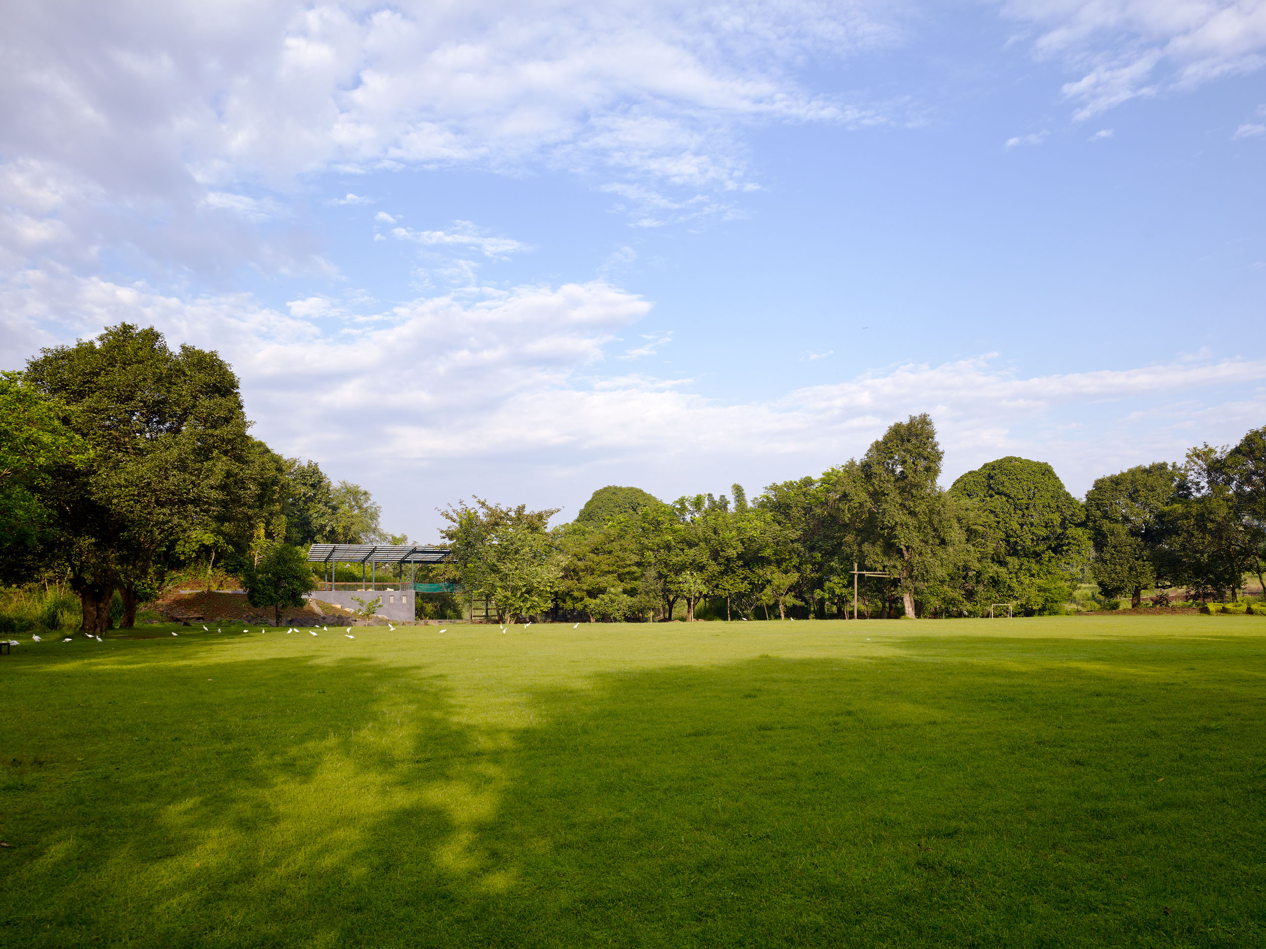 E13461 Alpa 040773 j2560